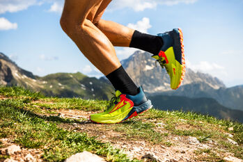 altra timp 5