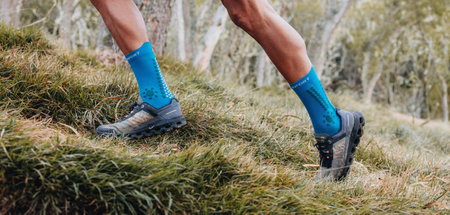 COMPRESSPORT Skarpetki do biegania trailowe ProRacing Socks V4 Trail hawaian ocean/shaded spruce